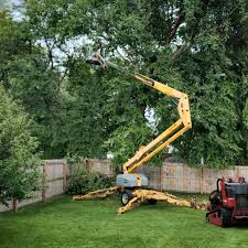 Best Tree Maintenance Programs  in Bnchard, LA